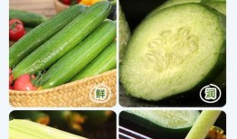 山东吃生瓜的网红是谁,挑战味蕾极限的美食探险者